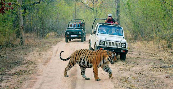 Ranthambore National Park